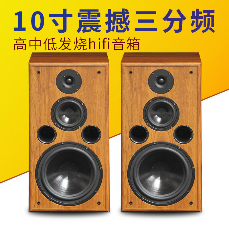 Special Sale Origional Product Exported To Denmark Fever Speaker 10-Inch Three-Frequency Bookshelf Floor HiFi Audio Passive Sound Boxes
